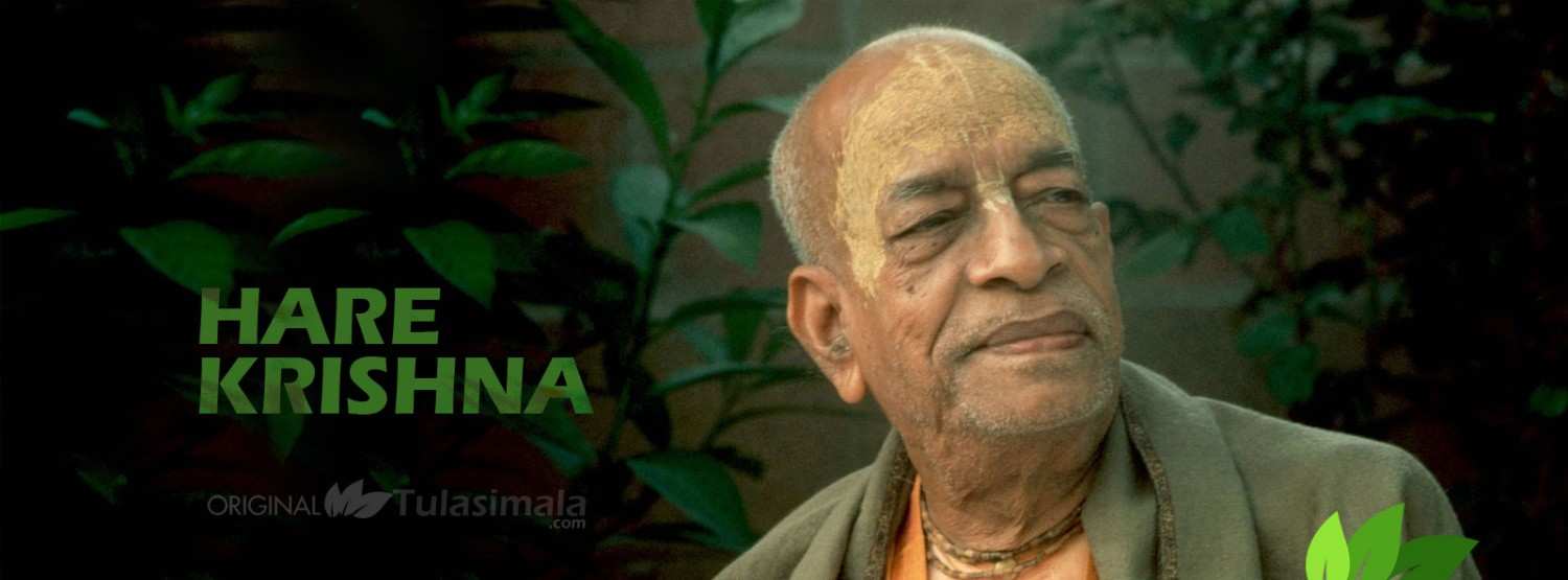 originaltulsimala.in promo