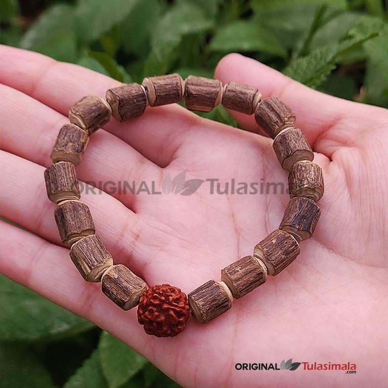 Raw Tulsi Beads Bracelet with Rudraksha