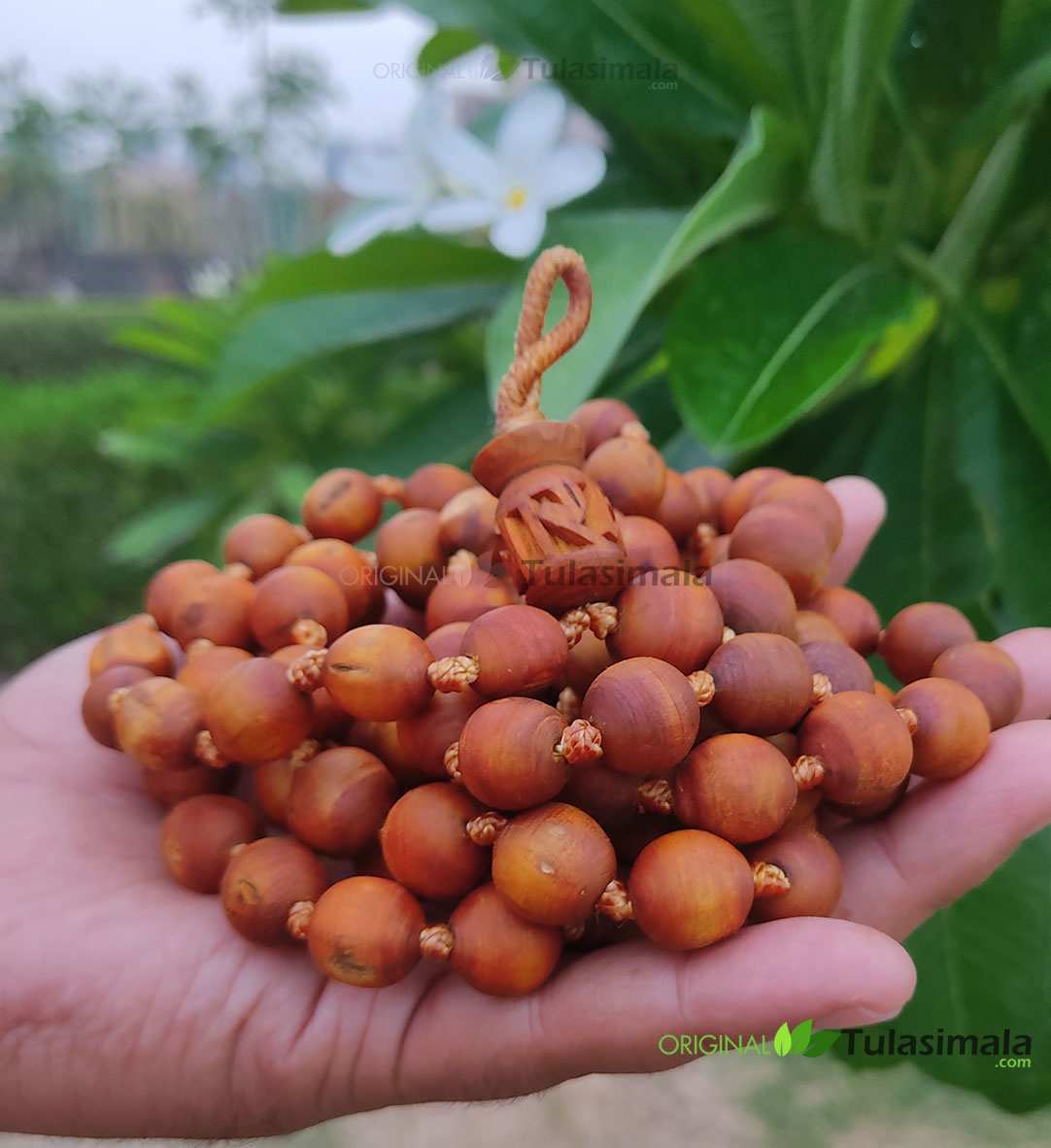 108+1 Beads Original Tulasi Japa Mala 16mm Beads Big to Small Beads Design Golden Color 76 Inches Full-Length Actual Photo Shown